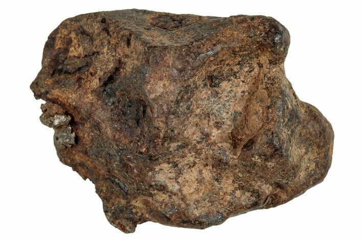 Agoudal Iron Meteorite ( g) - Morocco #288892